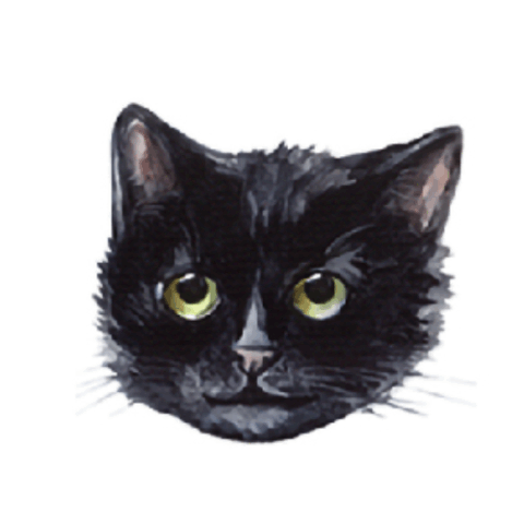 Cat by maniita lacitta